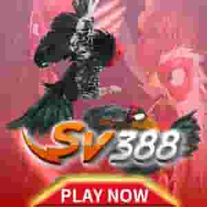 steadyGame_07_sv388